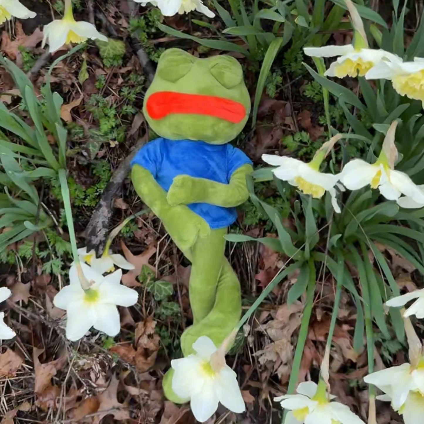 Pepe